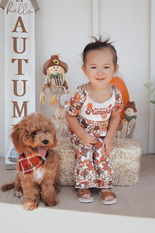 Hey there pumpkin romper