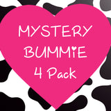Mystery 4 pack bummies